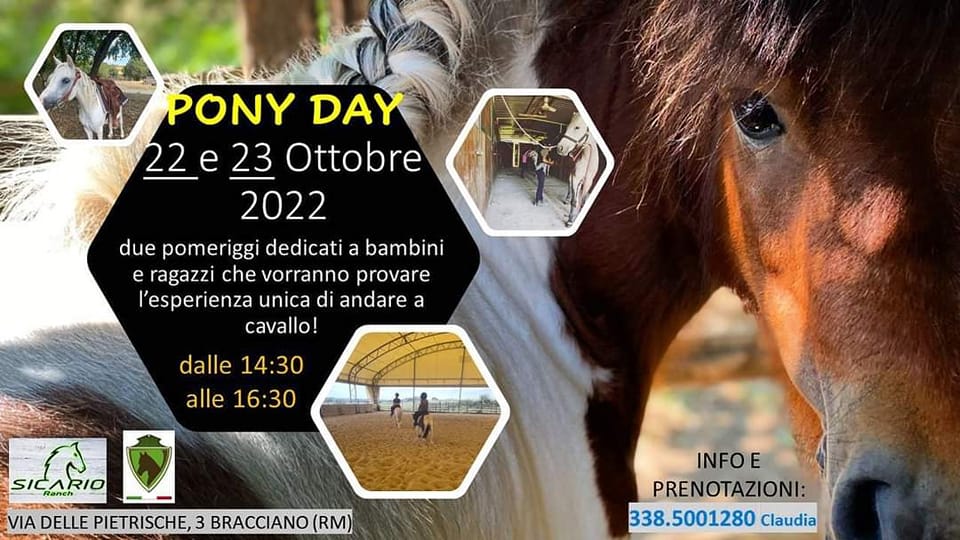 Pony Day @ Sicario Ranch