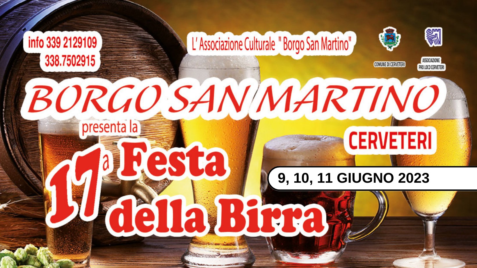 17esima festa della birra di Borgo San Martino