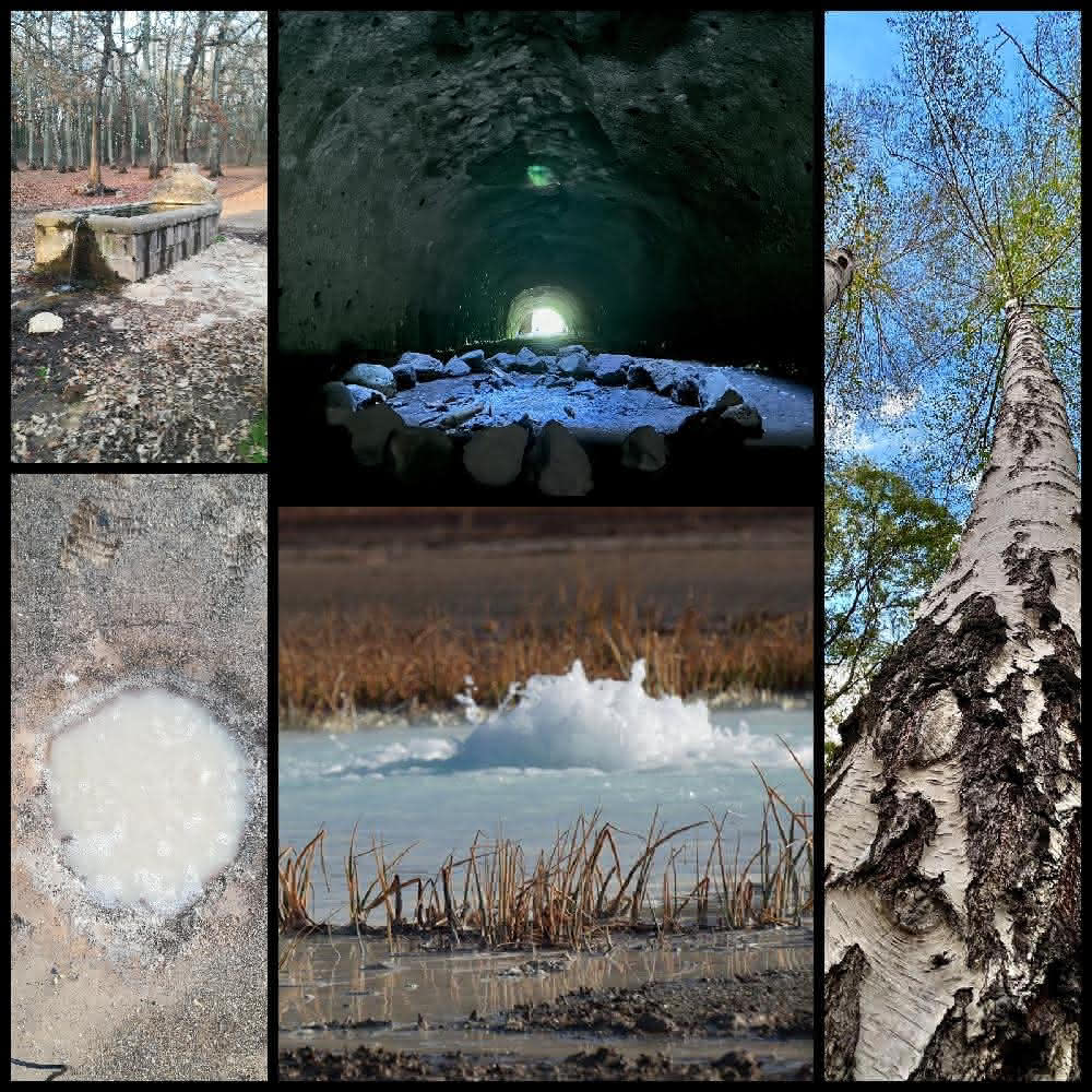 Collage di immagini dei luoghi visitati durante l'escursione